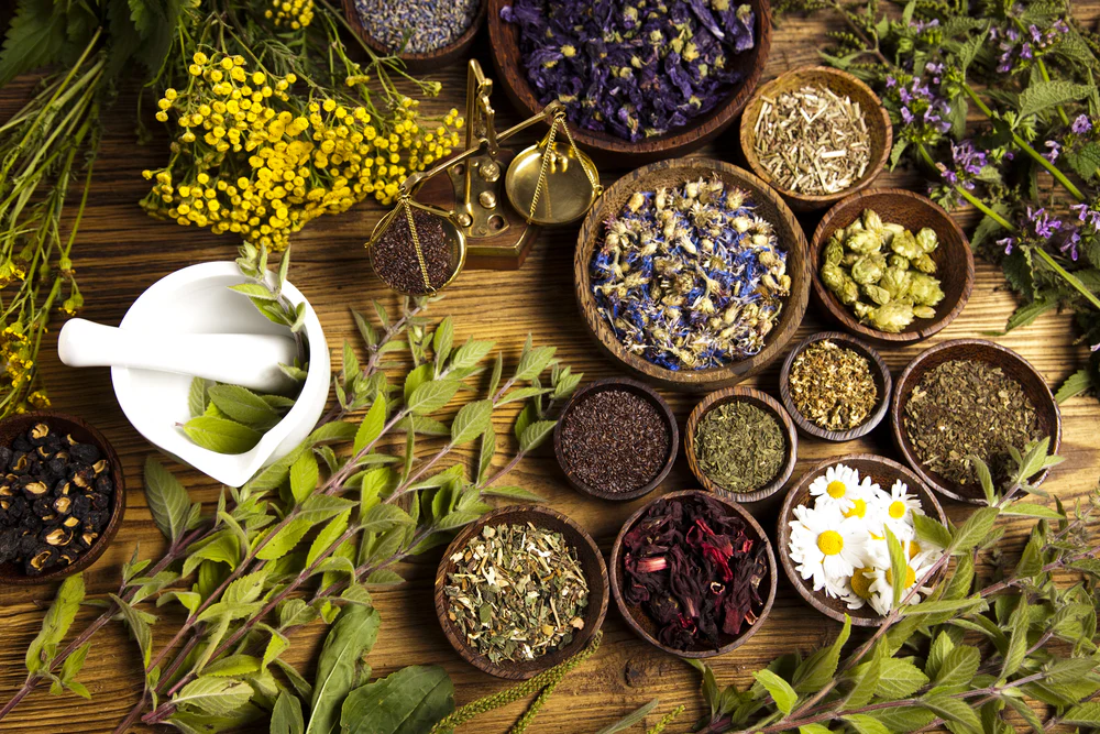 Natural wellness products including herbal supplements and teas